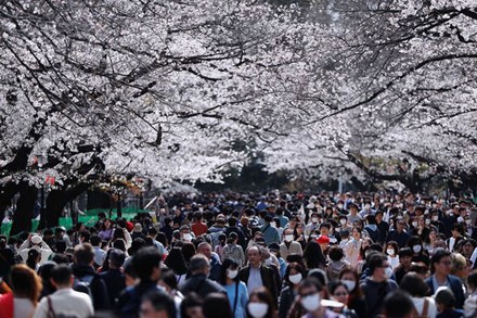 Bỏ ngoài tai những khuyến cáo về dịch bệnh Covid-19, hàng ngàn người dân Nhật vẫn tụ tập ngắm hoa anh đào và xem kickboxing
