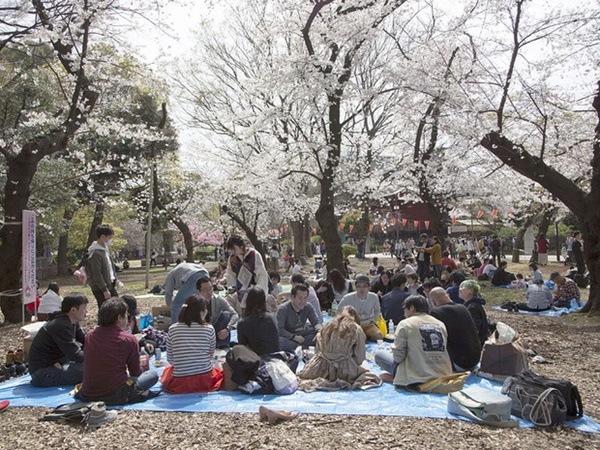 Bỏ ngoài tai những khuyến cáo về dịch bệnh Covid-19, hàng ngàn người dân Nhật vẫn tụ tập ngắm hoa anh đào và xem kickboxing-5