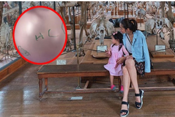 2 con là cháu nội tỷ phú nhưng vẫn được mẹ Tăng Thanh Hà chế đồ cũ làm đồ chơi-8