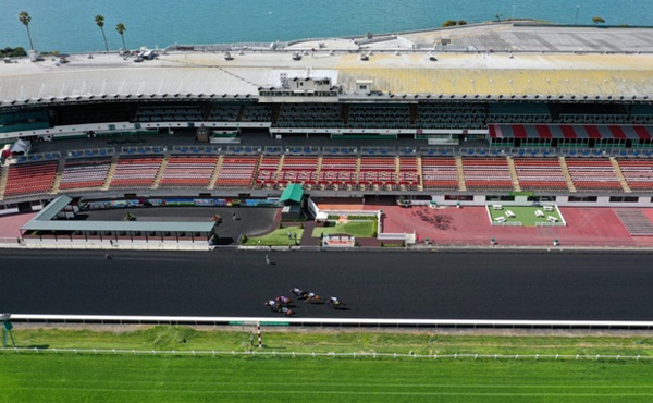 Nước Mỹ vắng vẻ lạ thường giữa đại dịch Covid-19: Những quảng trường, con đường, khu vui chơi nổi tiếng nay không một bóng người-14