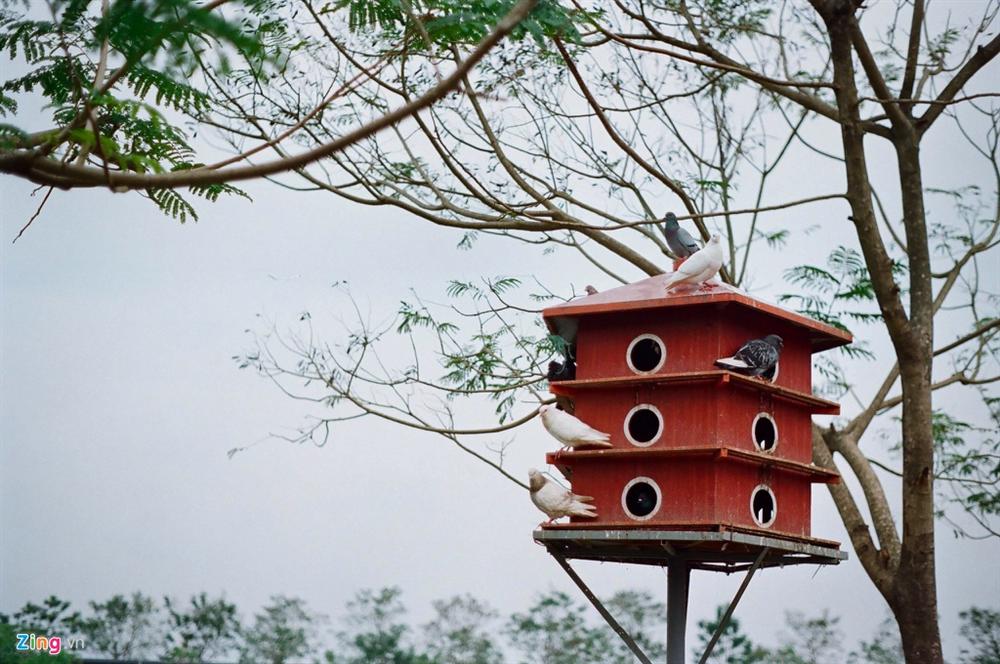 Bên trong ký túc xá được chọn là khu cách ly cho 20.000 người-8