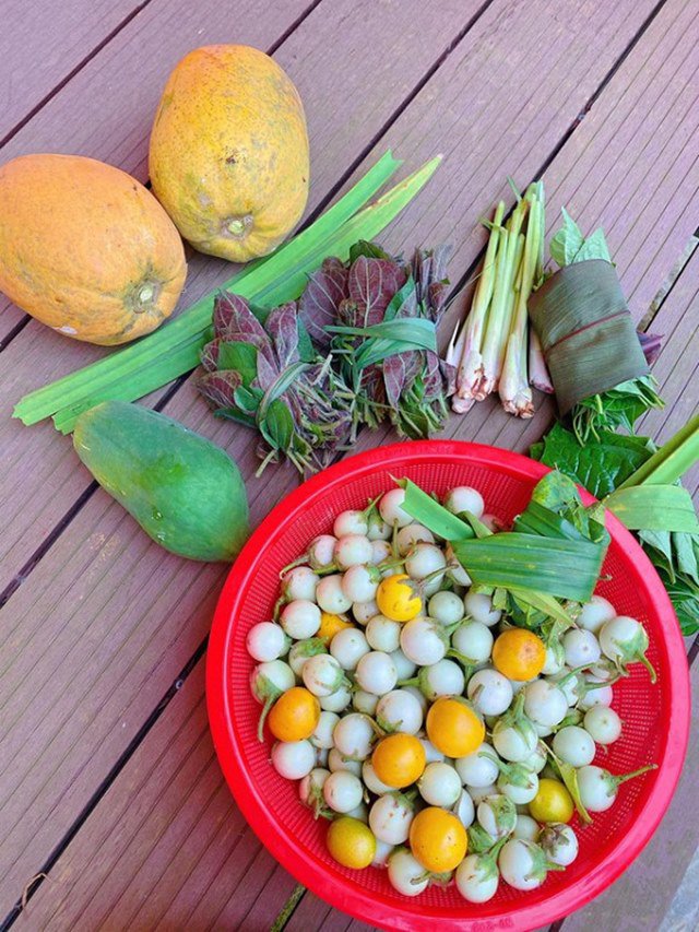 Là đại gia bất động sản Shark Hưng và vợ lại chọn ở nơi bình dị, trồng rau nuôi gà-5