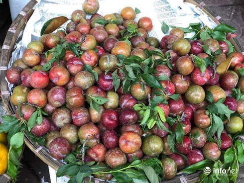 Mận đầu mùa giá chát, tiểu thương Hà Nội hét giá 200 nghìn đồng/kg-1