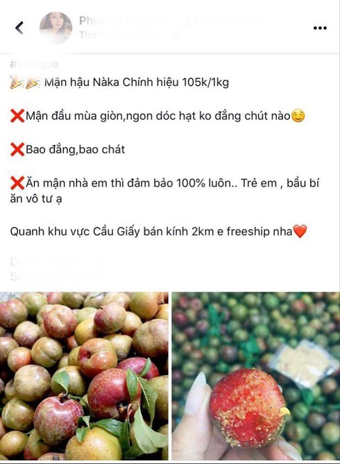 Mận đầu mùa giá chát, tiểu thương Hà Nội hét giá 200 nghìn đồng/kg-3