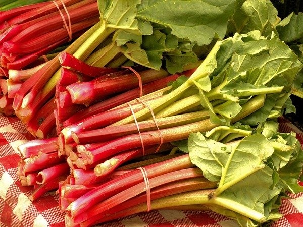 Ăn những thực phẩm này cẩn thận nguy cơ mắc sỏi thận cao: Chuyên gia khuyên ăn thế này mới tránh bị bệnh!-5