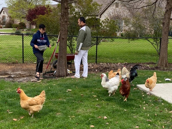 Sao Việt tại nước ngoài cố thủ trong nhà để tránh dịch-2