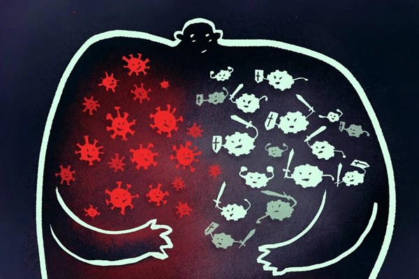 Tại sao virus corona không sống nhưng rất khó tiêu diệt?-5