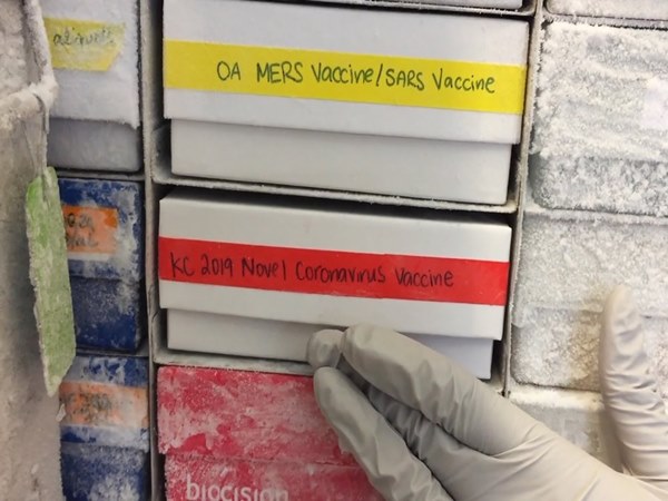 Tại sao virus corona không sống nhưng rất khó tiêu diệt?-6