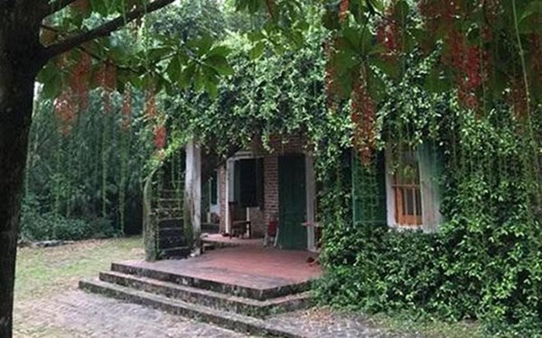 Cơ ngơi rộng 1.000 m2 của NSƯT Chiều Xuân cùng ông xã lớn hơn 11 tuổi-5