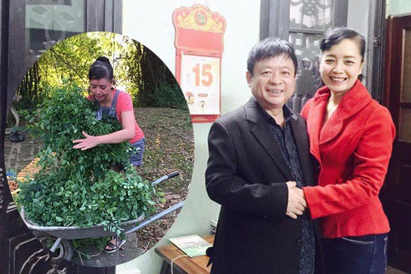 Nhà vườn bạt ngàn của 2 nghệ sĩ miền Bắc: Rau củ đầy đủ, có nhà còn không có điện-16