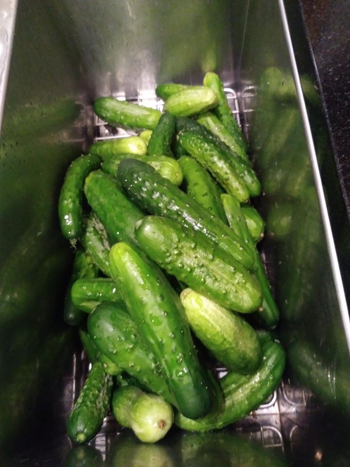 Khu vườn đủ loại rau quả đẹp như tranh của người phụ nữ trồng trọt từ năm 16 tuổi đến 63 tuổi-14