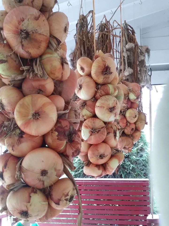 Khu vườn đủ loại rau quả đẹp như tranh của người phụ nữ trồng trọt từ năm 16 tuổi đến 63 tuổi-17