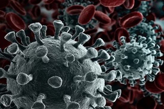 Phát hiện mới về virus corona trong tuần dễ lây lan nhất