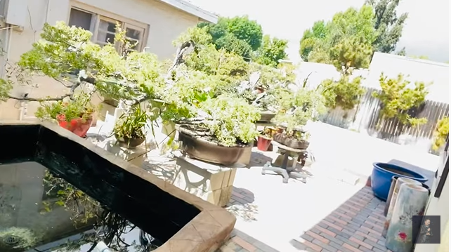 Trong khi vợ cũ đi ship hàng mưu sinh thì Bằng Kiều cũng phải làm công việc chân tay này trong thời gian ế show-1