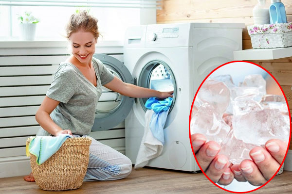 Đổ đường vào nước cắm hoa ai cũng tưởng lãng phí, kết quả lại vô cùng thần diệu-3