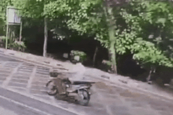 Khoảnh khắc thanh niên cưa cây suýt đổ trúng đầu người đi bộ và xe máy-1