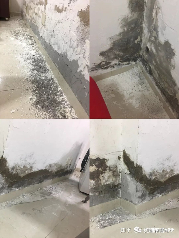 Cô gái dành nửa tháng biến căn phòng trọ lộn xộn thành nơi xịn chẳng kém gì homestay: Thế này mới đáng sống chứ!-2