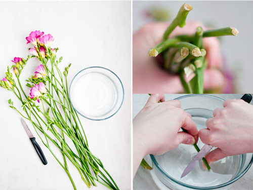 Pouring sugar into flower water may seem wasteful, but the results are amazing-1
