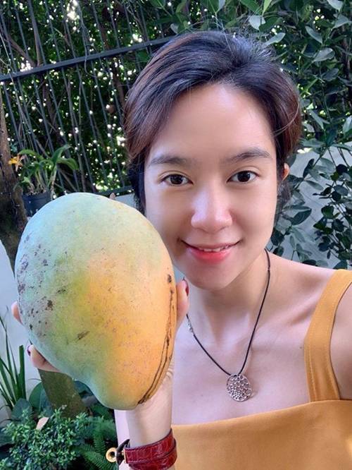 Lý Hải - Minh Hà thu hoạch vườn rau trái, khoe quả nào quả nấy đều siêu to-1