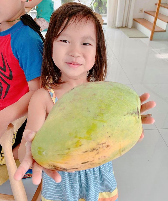 Lý Hải - Minh Hà thu hoạch vườn rau trái, khoe quả nào quả nấy đều siêu to-6