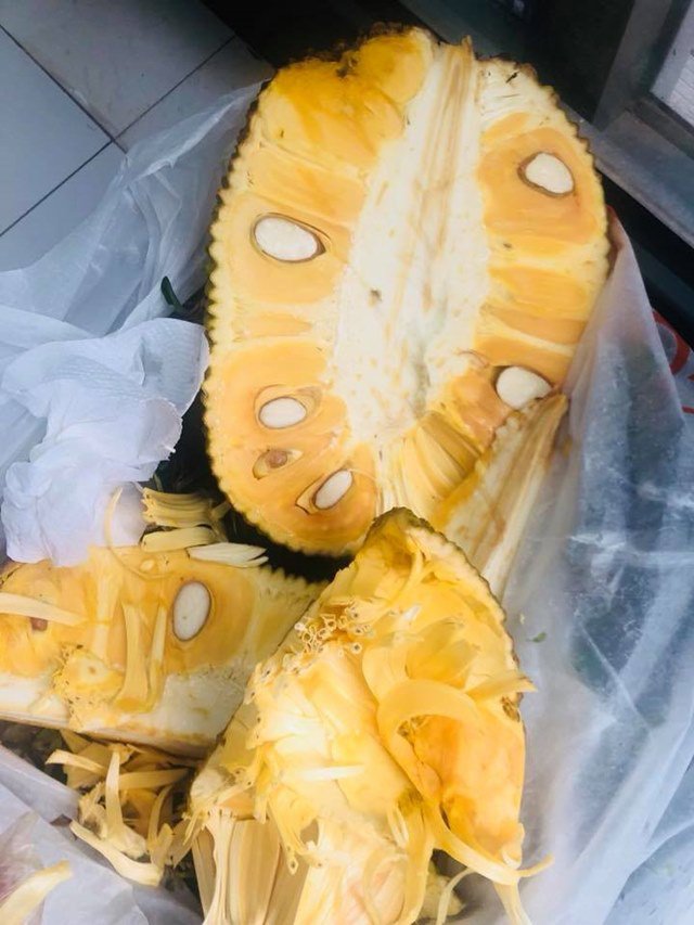 Lý Hải - Minh Hà thu hoạch vườn rau trái, khoe quả nào quả nấy đều siêu to-10