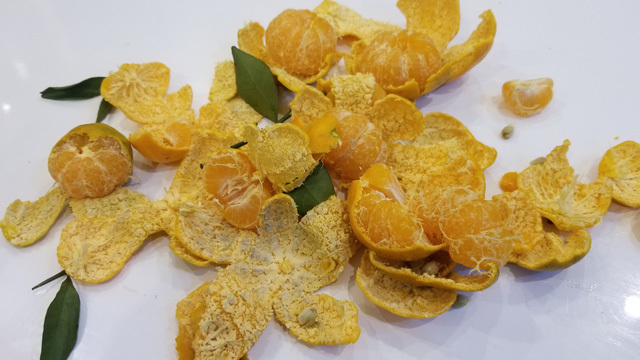 Rùng mình loại quýt bên ngoài vỏ vẫn tươi nhưng bên trong mốc xanh-1