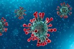 Tin vui: Virus corona đột biến chậm hơn cúm, vắc-xin Covid-19 sẽ có hiệu quả kéo dài-4