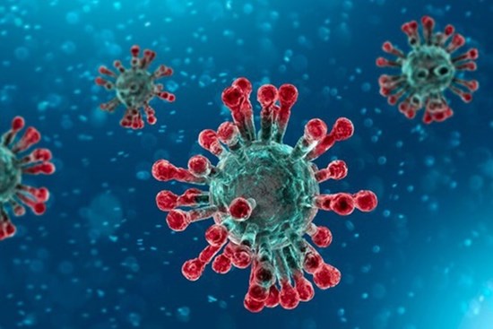 Video: Virus SARS-CoV-2 tàn phá lá phổi của con người như thế nào?