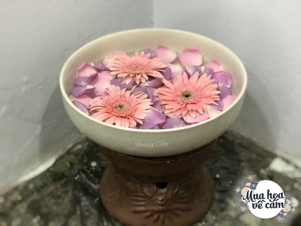 Hoa đồng tiền nổi tiếng nhanh hỏng, mẹ Việt mách nhau cách chơi được 2 tuần-6