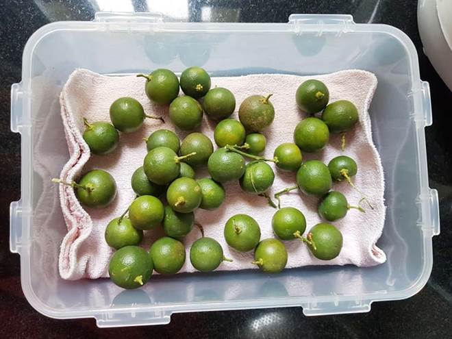 Mẹ đảm Đồng Nai mách cách bảo quản thực phẩm luôn tươi ngon, giữ được dinh dưỡng-8