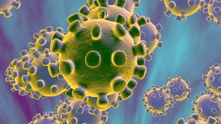 Nhà virus học Nga chỉ ra cơ chế lây nhiễm đặc biệt” của Coronavirus-1