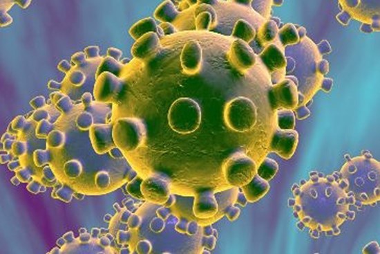 Nhà virus học Nga chỉ ra cơ chế lây nhiễm “đặc biệt” của Coronavirus