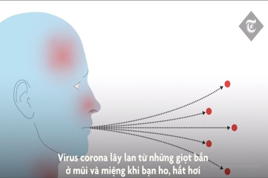 Cơ thể phản ứng như thế nào khi nhiễm virus corona?