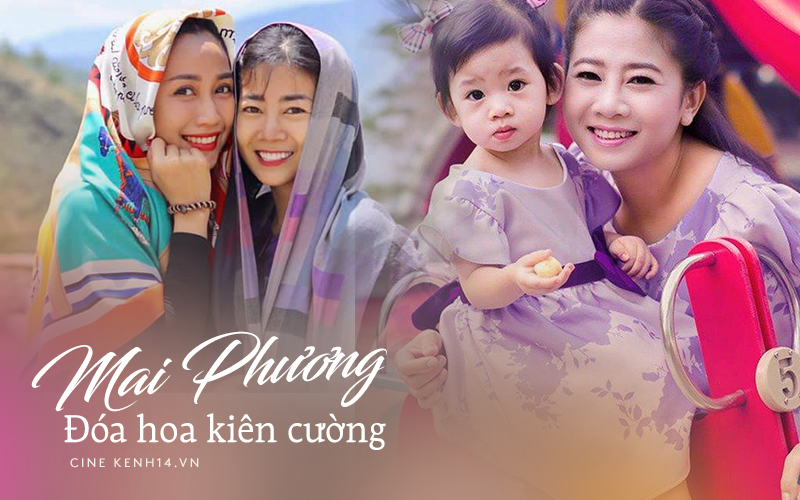 Tạm biệt Mai Phương, đóa hoa kiên cường dẫu cuộc đời vốn đầy sóng gió!