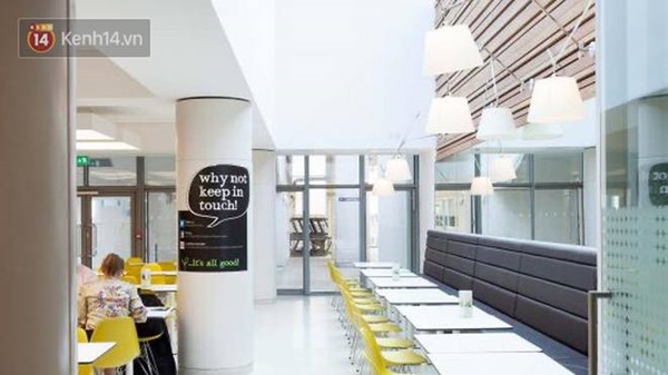 Du học sinh chọn ở lại châu Âu: Muốn nhường chuyến bay cho bạn khác, không muốn thêm gánh nặng cho y tế Việt Nam-7