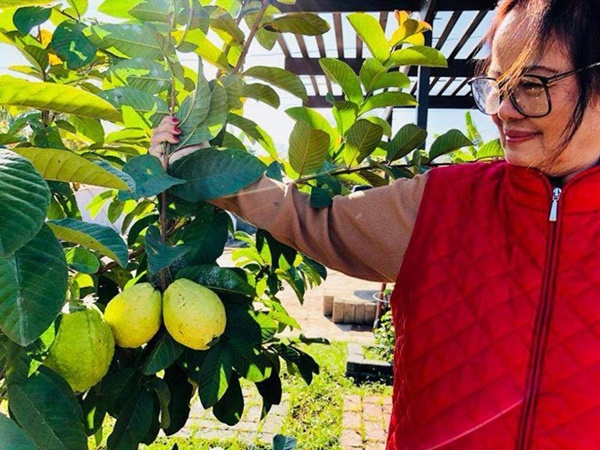 Về Mỹ đúng lúc dịch, Bằng Kiều làm nông dân 1 tháng, sửa vườn trồng thêm cây-2