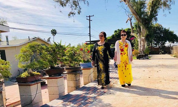 Về Mỹ đúng lúc dịch, Bằng Kiều làm nông dân 1 tháng, sửa vườn trồng thêm cây-7