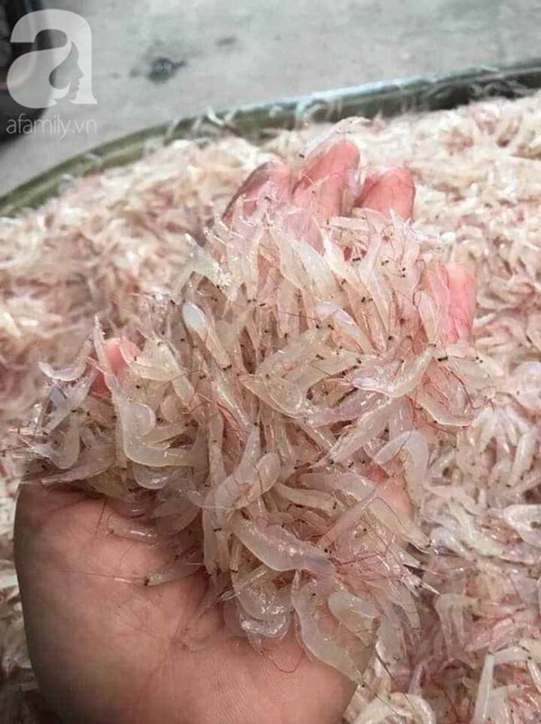 Dân chung cư nhộn nhịp họp chợ online, bà nội trợ cả tuần ở nhà vẫn sắm đủ thứ, tiểu thương ngày kiếm bạc triệu-1