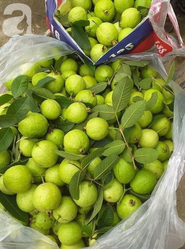 Dân chung cư nhộn nhịp họp chợ online, bà nội trợ cả tuần ở nhà vẫn sắm đủ thứ, tiểu thương ngày kiếm bạc triệu-3