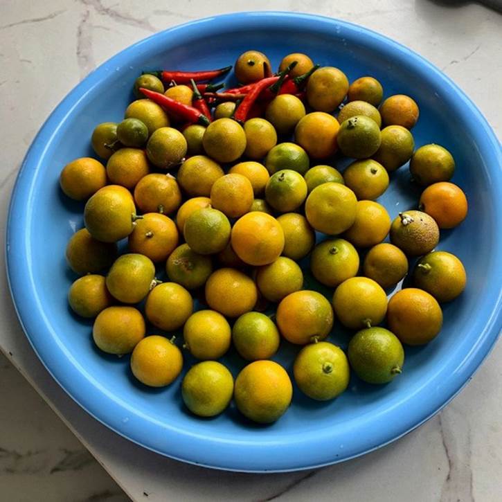 Hé lộ không gian vườn nhà của ca sĩ Nguyễn Ngọc Anh-18