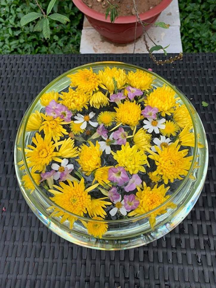 Hé lộ không gian vườn nhà của ca sĩ Nguyễn Ngọc Anh-19