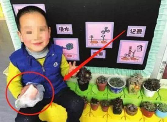 Cô giáo yêu cầu một đằng, bé trai 5 tuổi làm một nẻo khiến hiệu trưởng cũng phải phì cười-1