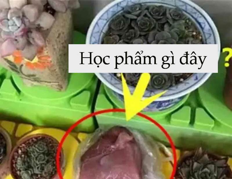 Cô giáo yêu cầu một đằng, bé trai 5 tuổi làm một nẻo khiến hiệu trưởng cũng phải phì cười-2