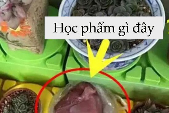 Cô giáo yêu cầu một đằng, bé trai 5 tuổi làm một nẻo khiến hiệu trưởng cũng phải phì cười