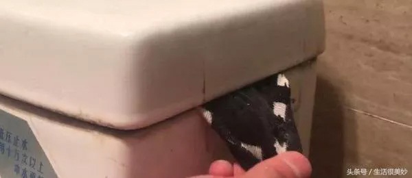 Cho cục xà bông vào chiếc tất cũ rồi thả vào bồn cầu, thấy kết quả chị em chỉ hận sao mình không biết sớm hơn-5