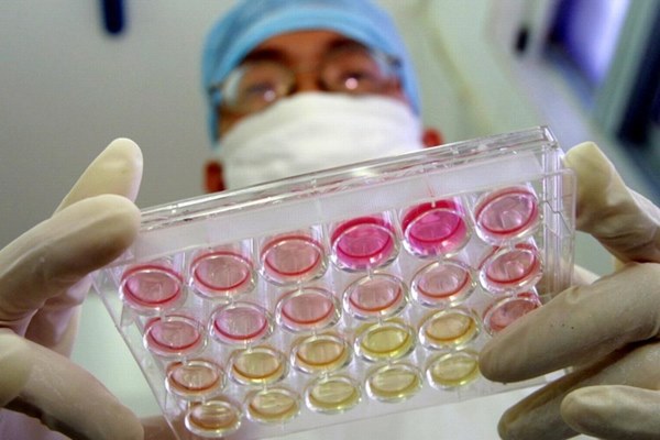 Virus có thể đã lây trên người nhiều thập kỷ mới bùng phát ở Vũ Hán-1