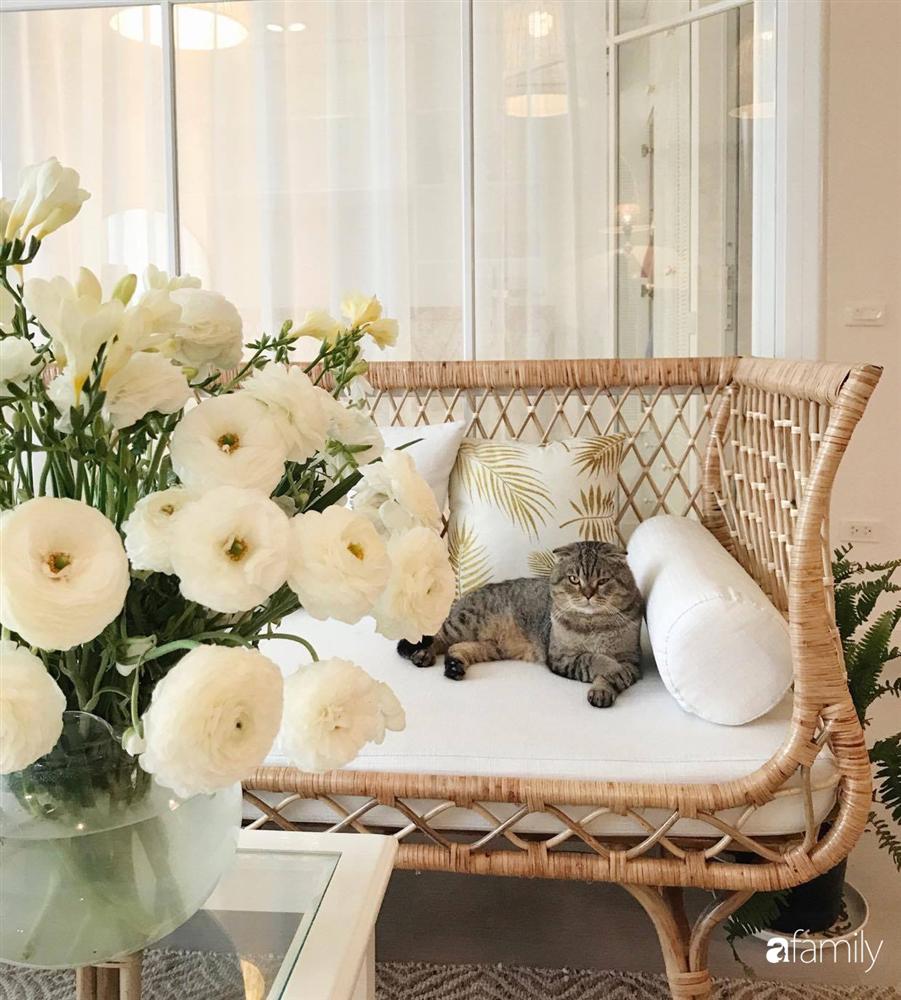 Căn hộ 80m² view sông Hồng đẹp như thơ nhờ cách tự décor nội thất mộc mạc của mẹ đơn thân xinh đẹp-9