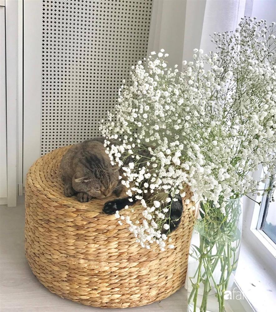 Căn hộ 80m² view sông Hồng đẹp như thơ nhờ cách tự décor nội thất mộc mạc của mẹ đơn thân xinh đẹp-12