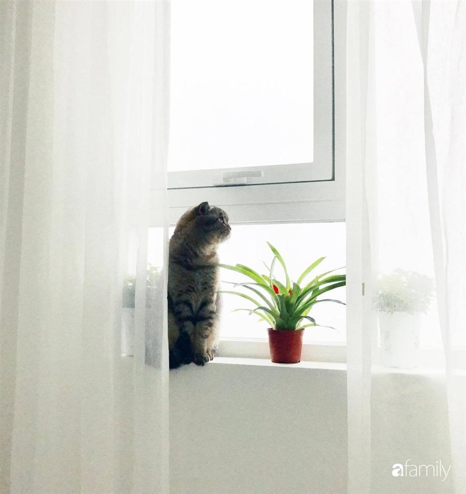 Căn hộ 80m² view sông Hồng đẹp như thơ nhờ cách tự décor nội thất mộc mạc của mẹ đơn thân xinh đẹp-26