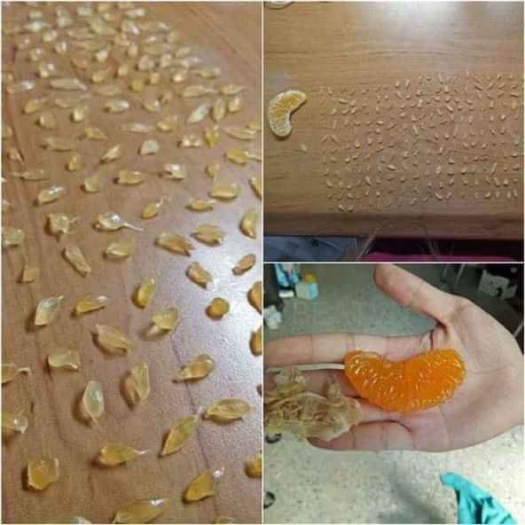 Hội học sinh bá đạo truyền nhau cách sống chậm” hài hước mà cực hiệu quả, đặc biệt nhất là ảnh cuối không làm ta thất vọng-12